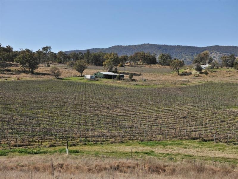 2128 Bruxner Highway, Tenterfield NSW 2372