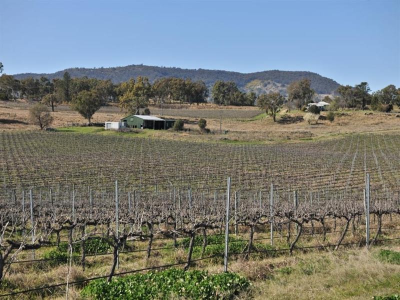 2128 Bruxner Highway, Tenterfield NSW 2372