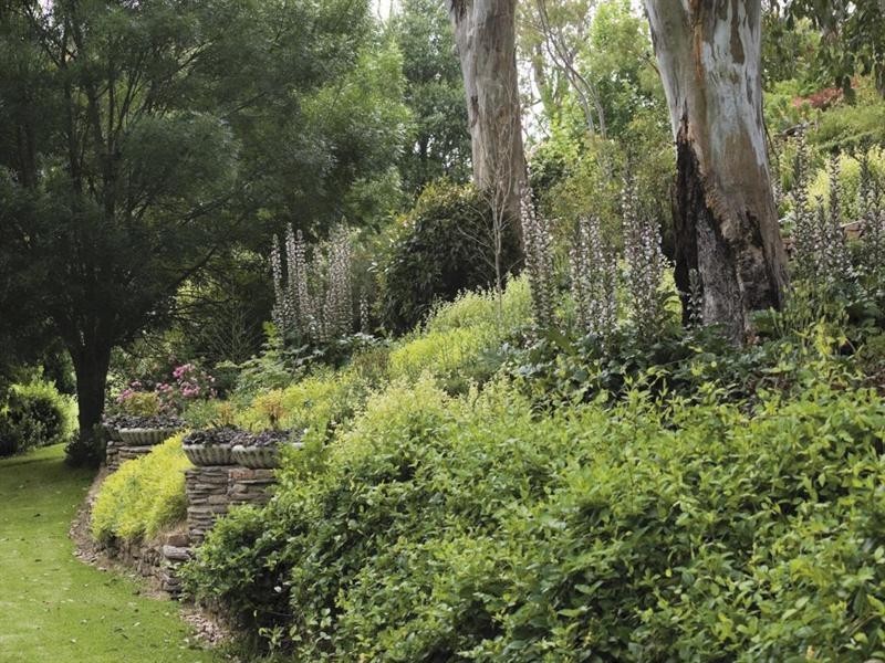 Glenrock 84 Robinsons Lane, Tenterfield NSW 2372