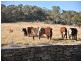 Glenrock 84 Robinsons Lane, Tenterfield NSW 2372