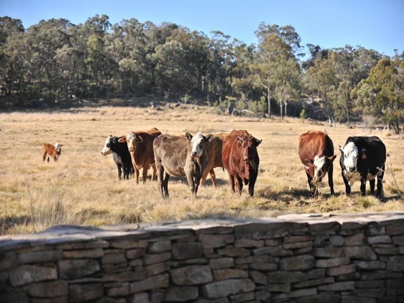 Glenrock 84 Robinsons Lane, Tenterfield NSW 2372