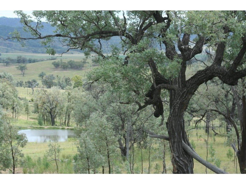 Tenterfield NSW 2372