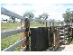 Tenterfield NSW 2372