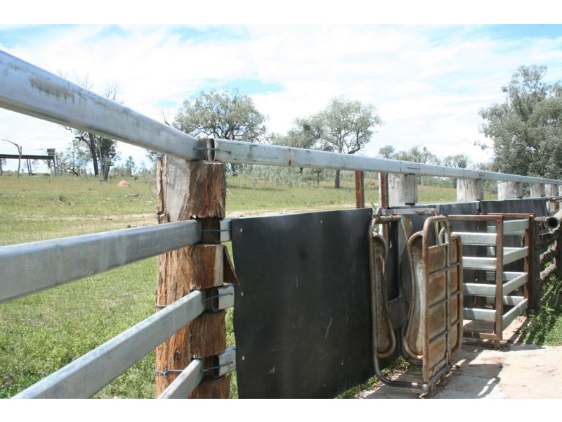 Tenterfield NSW 2372