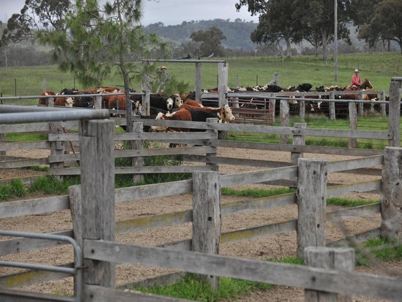 6133 New England Highway, Tenterfield NSW 2372