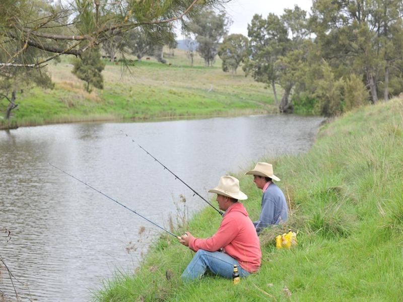 6133 New England Highway, Tenterfield NSW 2372