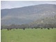 6133 New England Highway, Tenterfield NSW 2372