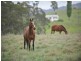 6133 New England Highway, Tenterfield NSW 2372