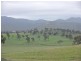 6133 New England Highway, Tenterfield NSW 2372
