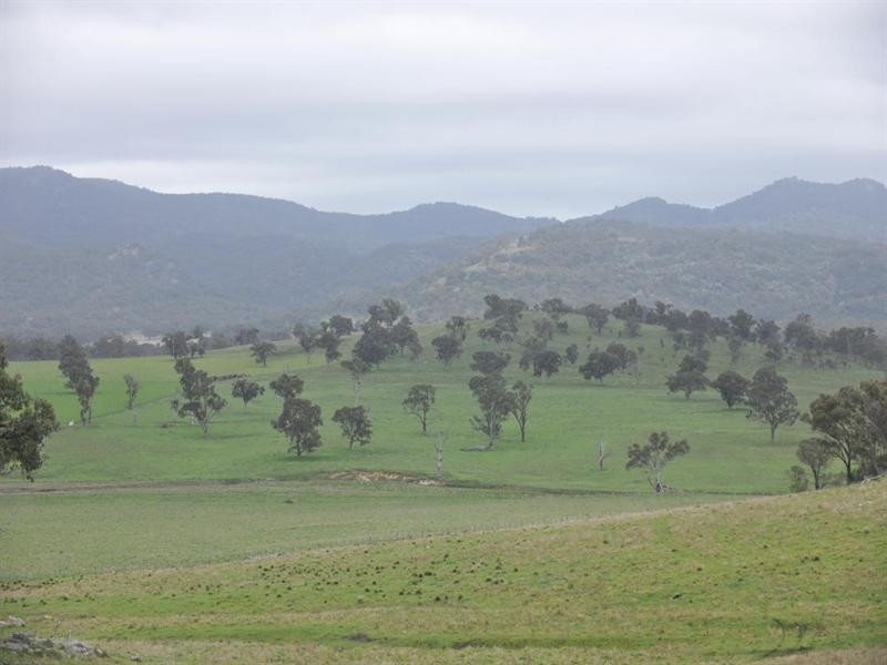 6133 New England Highway, Tenterfield NSW 2372