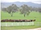 6133 New England Highway, Tenterfield NSW 2372
