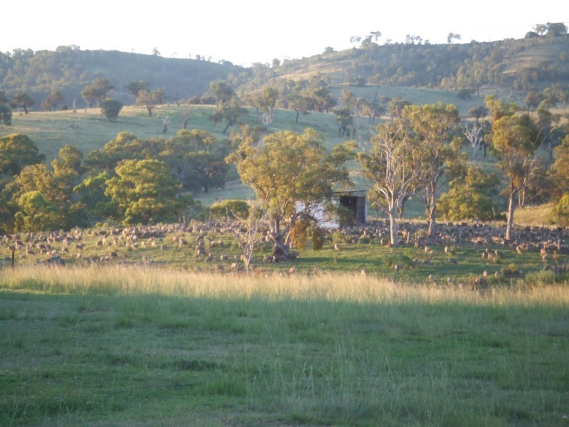 Emmaville NSW 2371