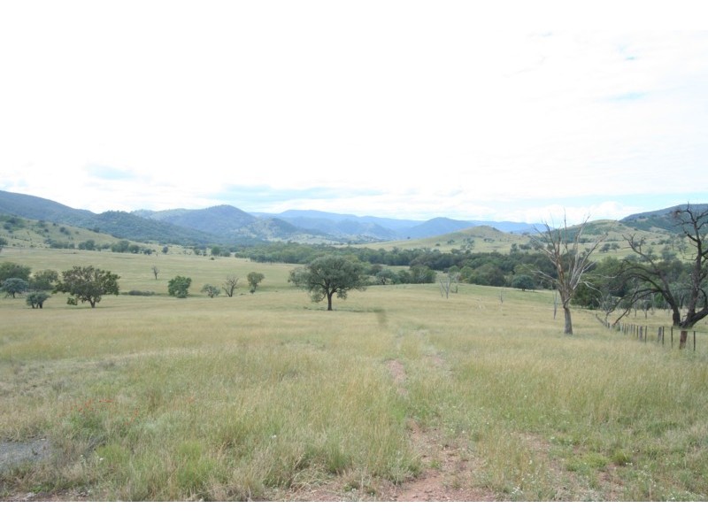 Tenterfield NSW 2372