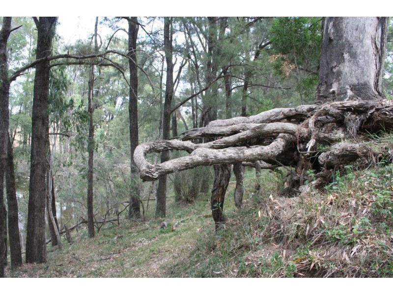 Tenterfield NSW 2372