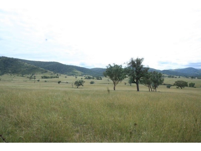 Tenterfield NSW 2372