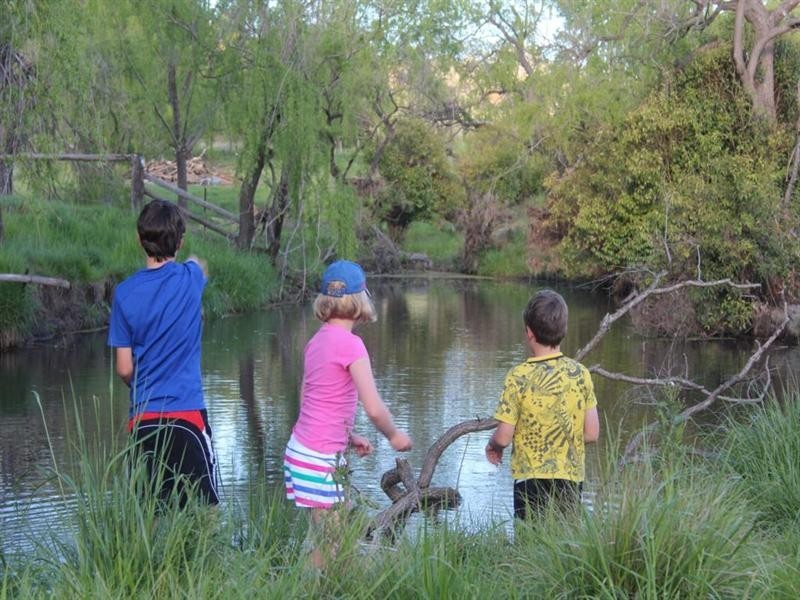 314 Mount Lindsay Road, Tenterfield NSW 2372