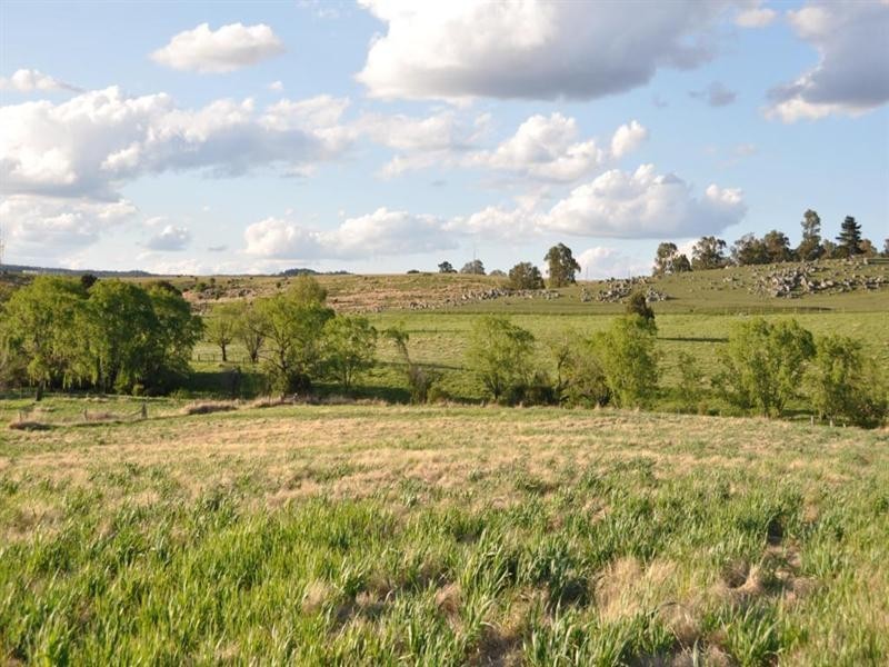314 Mount Lindsay Road, Tenterfield NSW 2372