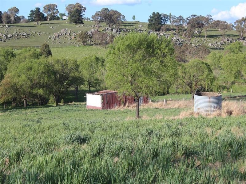 314 Mount Lindsay Road, Tenterfield NSW 2372