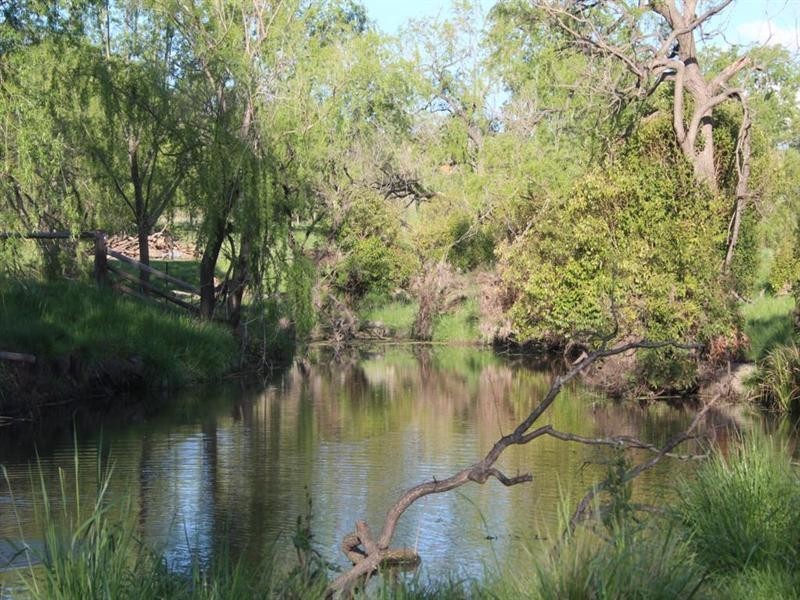 314 Mount Lindsay Road, Tenterfield NSW 2372