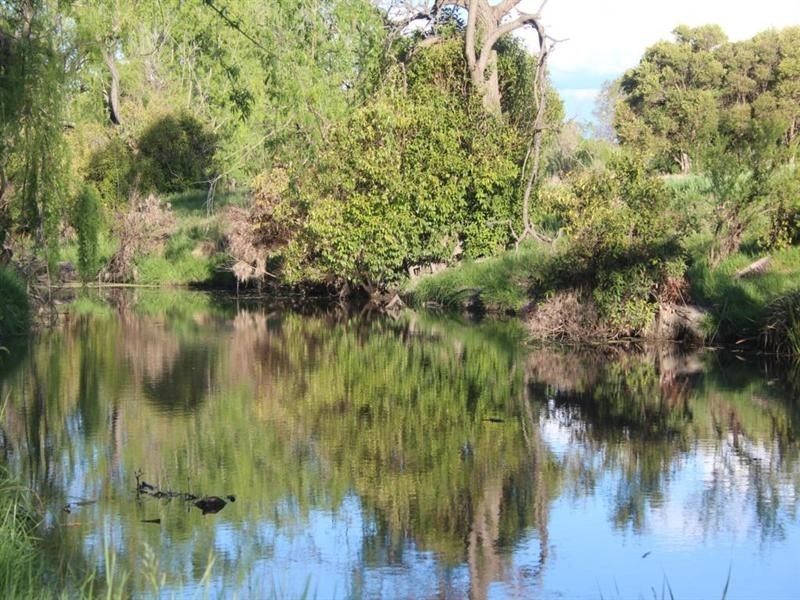 314 Mount Lindsay Road, Tenterfield NSW 2372