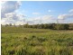 314 Mount Lindsay Road, Tenterfield NSW 2372