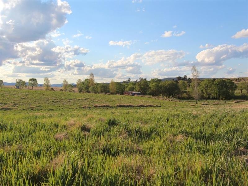314 Mount Lindsay Road, Tenterfield NSW 2372