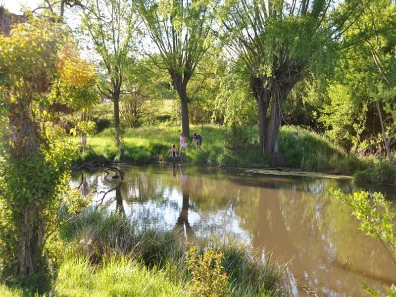 314 Mount Lindsay Road, Tenterfield NSW 2372