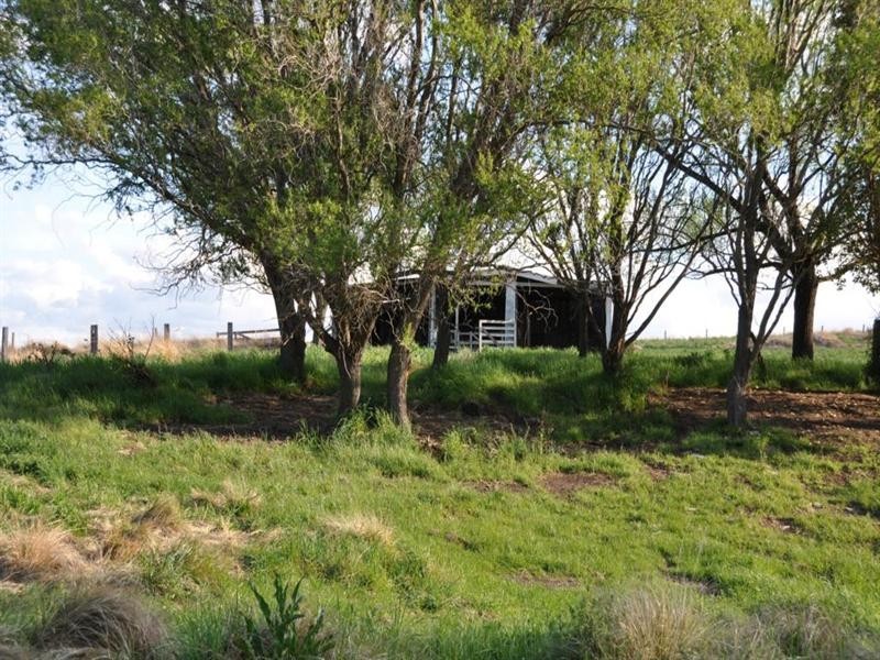 314 Mount Lindsay Road, Tenterfield NSW 2372