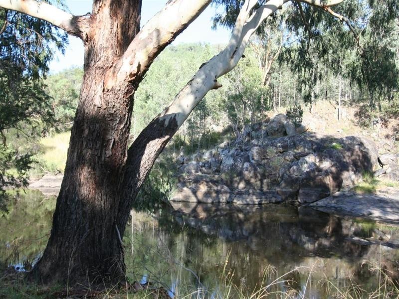 17 Mountain Creek Road, Tenterfield NSW 2372