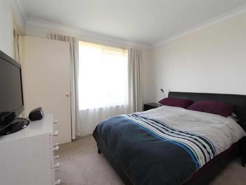 16 Clive Street, Tenterfield NSW 2372