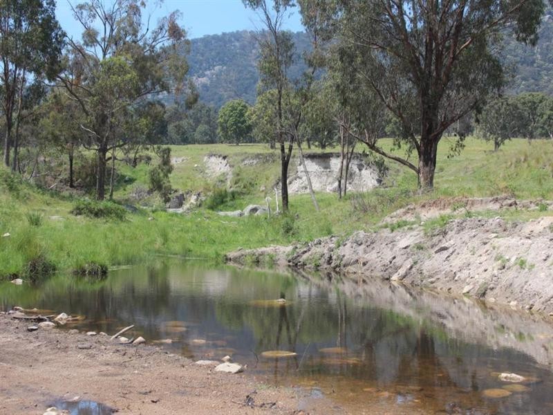 Laurellyn Currs Road, Tenterfield NSW 2372