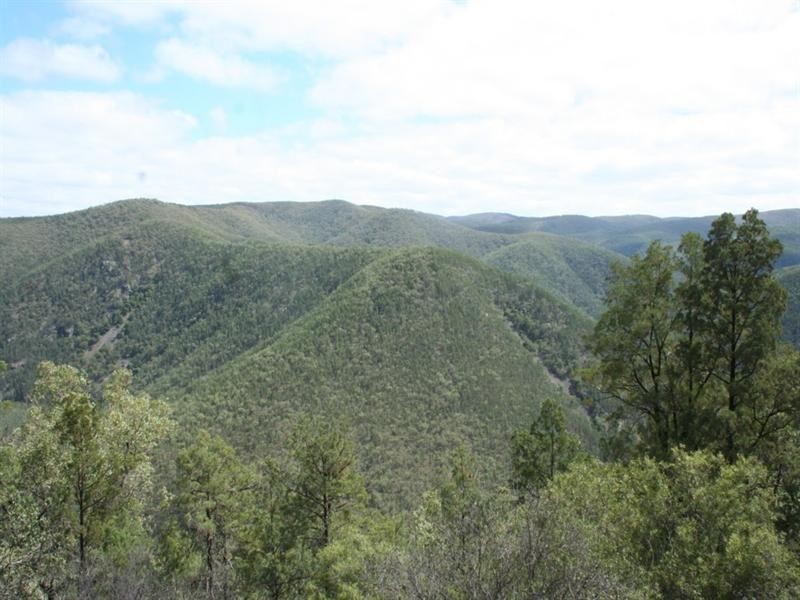 Lot 10 Mountain Creek Road, Tenterfield NSW 2372