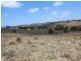 Lot 169 Bruxner Highway, Tenterfield NSW 2372