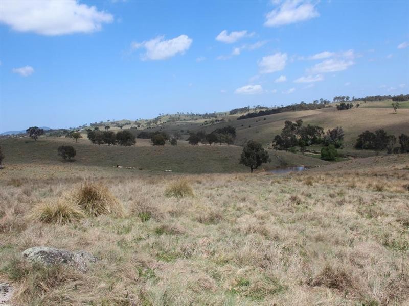 Lot 169 Bruxner Highway, Tenterfield NSW 2372