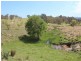 Lot 169 Bruxner Highway, Tenterfield NSW 2372