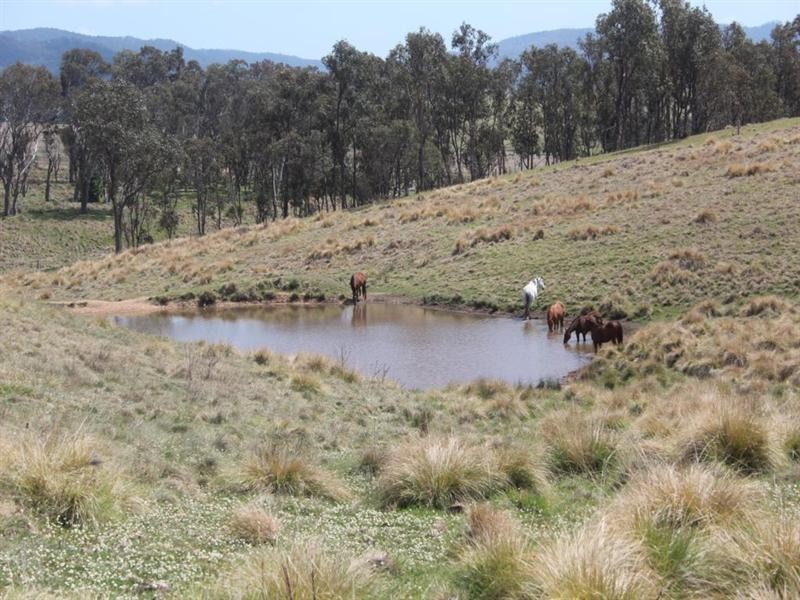 Lot 169 Bruxner Highway, Tenterfield NSW 2372
