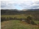 Lot 21 Rocky River Road, Drake NSW 2469