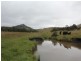 Lot 19 Four Mile Creek Road, Tenterfield NSW 2372