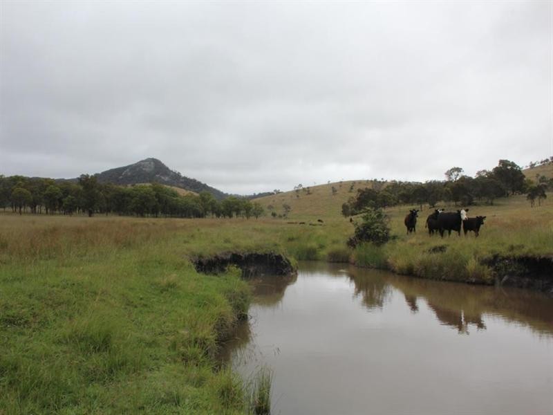 Lot 19 Four Mile Creek Road, Tenterfield NSW 2372