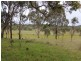 Lot 19 Four Mile Creek Road, Tenterfield NSW 2372