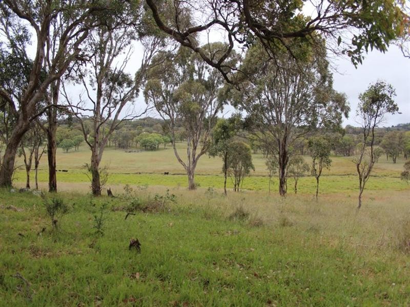 Lot 19 Four Mile Creek Road, Tenterfield NSW 2372