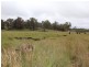 Lot 19 Four Mile Creek Road, Tenterfield NSW 2372