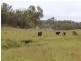 Lot 19 Four Mile Creek Road, Tenterfield NSW 2372