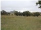Lot 19 Four Mile Creek Road, Tenterfield NSW 2372