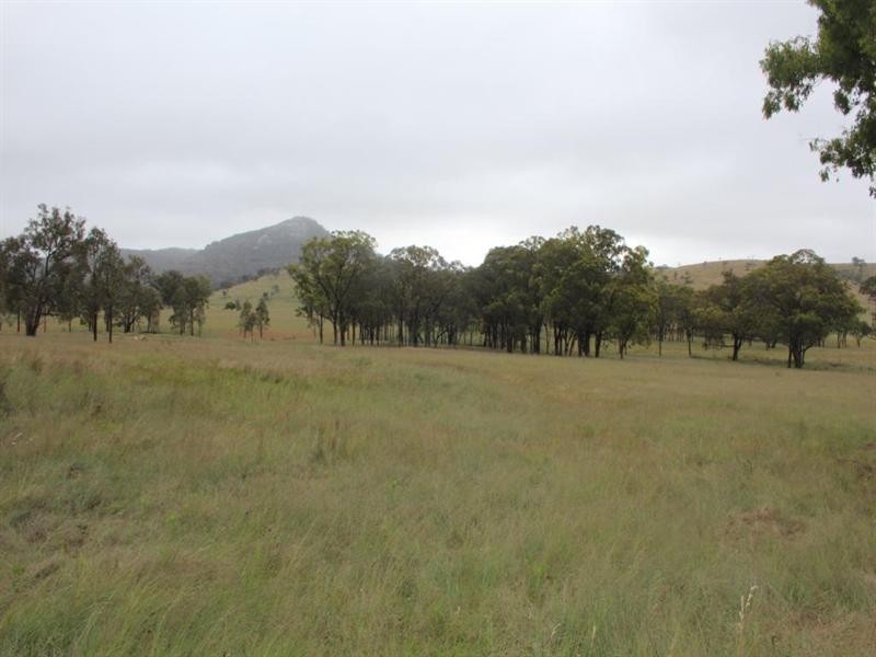 Lot 19 Four Mile Creek Road, Tenterfield NSW 2372