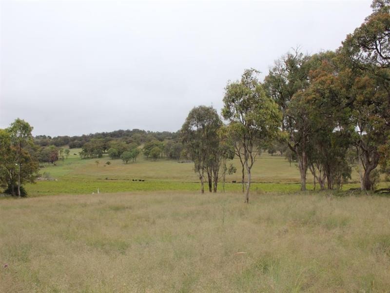 Lot 19 Four Mile Creek Road, Tenterfield NSW 2372