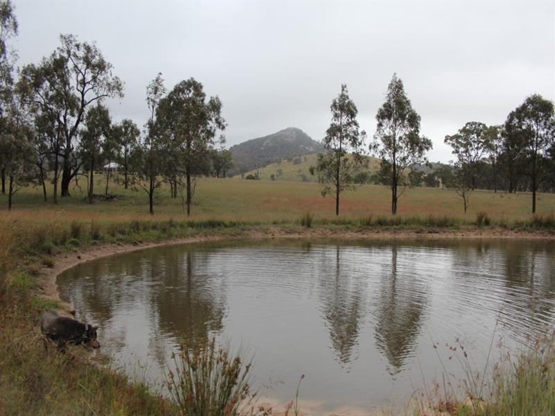 Lot 19 Four Mile Creek Road, Tenterfield NSW 2372