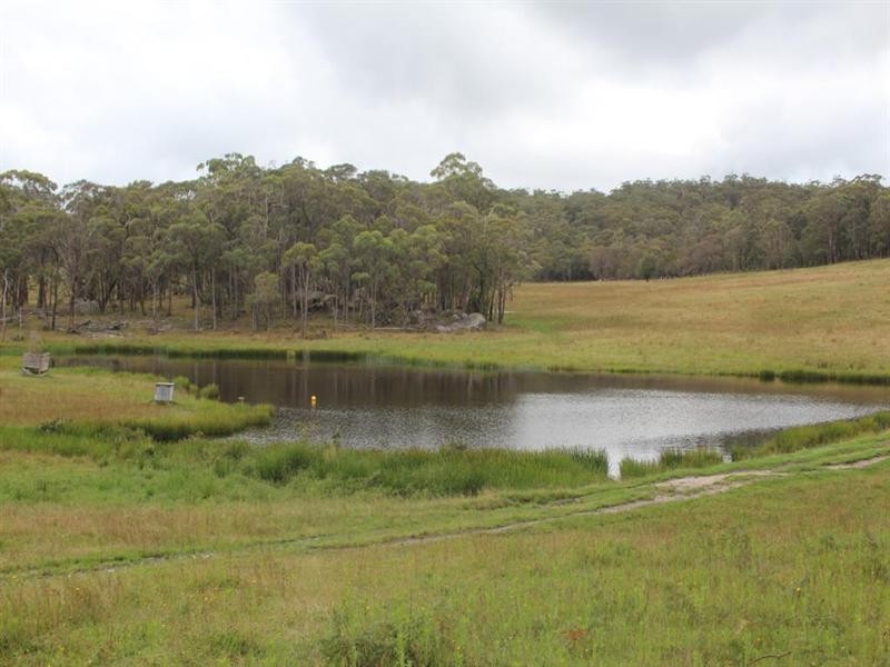 Five Springs Talmoi Road, Tenterfield NSW 2372