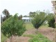 1925 Bruxner Highway, Tenterfield NSW 2372