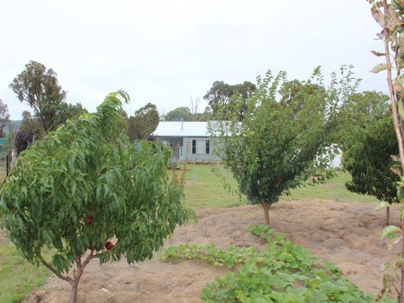 1925 Bruxner Highway, Tenterfield NSW 2372